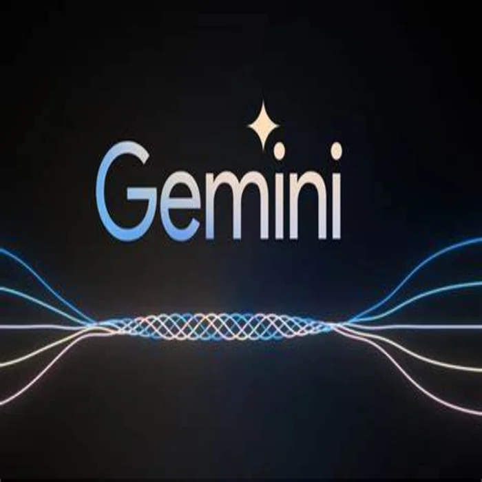 Interface Google Gemini
